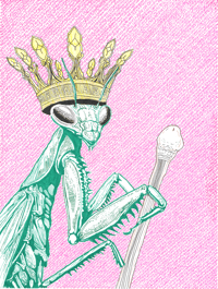 Mrs. Green (Queen of Wands) print
