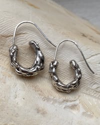 Image 1 of oval hooves earrings