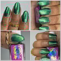 Image 23 of Welcome To The Jungle