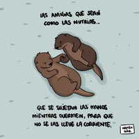 Image 1 of Como las nutrias