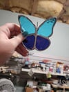 Stained Glass Butterfly 1