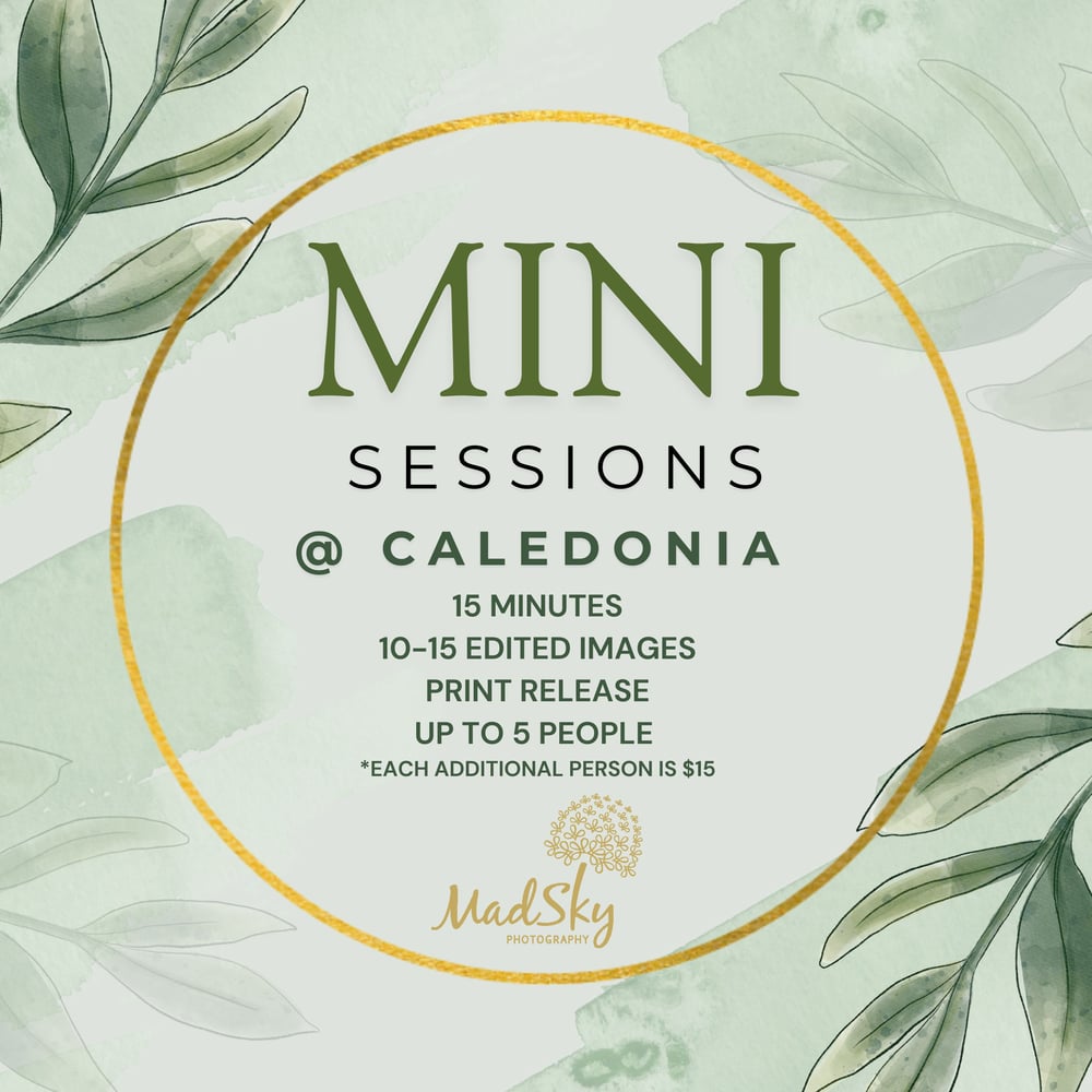 Image of DEPOSIT FOR A MINI SESSION AT CALEDONIA GOLF & FISH CLUB