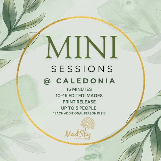 Image of DEPOSIT FOR A MINI SESSION AT CALEDONIA GOLF & FISH CLUB