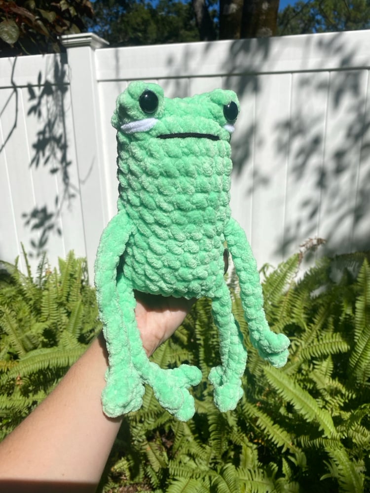 Image of Big Leggy Froggy