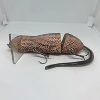 Image 3 of Silly Sally (Arboreal Salamander)