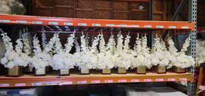 Image of White Silk  flower small Vase Centerpieces , 5 inch x 5 inch vase 