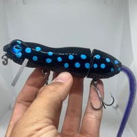 Image 1 of Silly Sally (Blue Spotted Salamander)