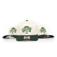 Image 1 of The Day One (green)