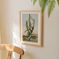 Image 3 of Giant of Arizona Print