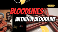 The Foundational Bloodlines Shem, Ham, and Japheth 