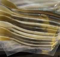 10 pack rubber worms 