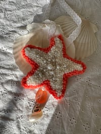 Image 2 of Pearl Starfish 