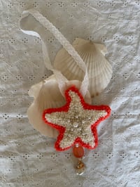 Image 1 of Pearl Starfish 