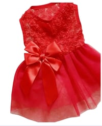 Image 1 of Red Lace Dress