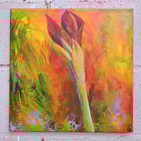 Sean Worrall - "This Year's Amaryllis (2025)" - Acrylic on canvas, 40x40x1cm, April 2025