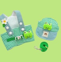 Image 1 of Frog Set
