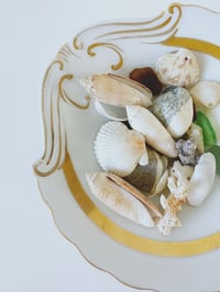 Image 5 of Vintage Footed Shell Dish