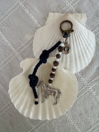Image 1 of Saltwater Stallion 