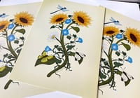 Image 2 of Sunflower Botanical Art Print