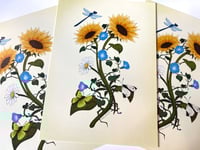 Image 3 of Sunflower Botanical Art Print
