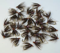 Image 1 of Frenchie Soft Hackle
