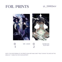 Image 1 of ORV Foil Prints