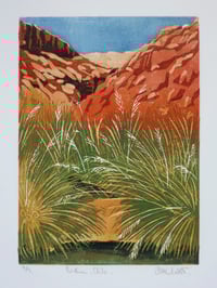 Image 2 of Hot Springs Puritama Chile:Print