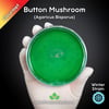 Button Mushroom (Agaricus Bisporus) Live Mycelium Mushroom Culture Spawn Seed