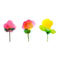 Image 1 of Bloom 