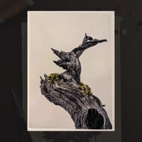 Image 3 of Atelier "Broder les souvenirs" Illkirch • 2H