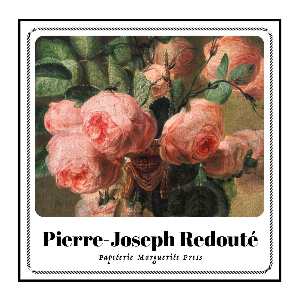 Image of REDOUTÉ