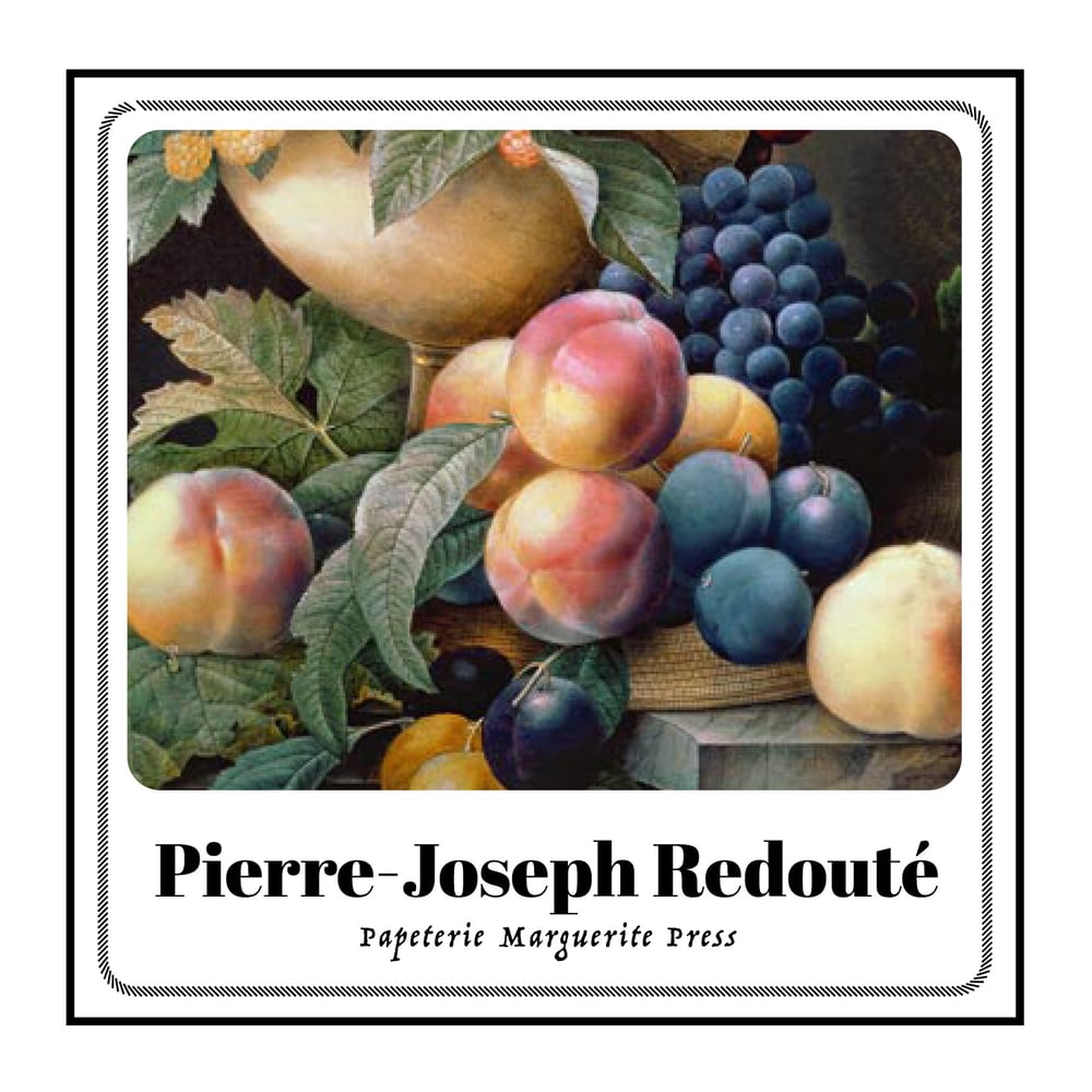 Image of REDOUTÉ