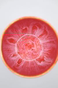 Image 4 of no surprises cup