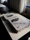 The Lounging Lion Stone Lithograph Print