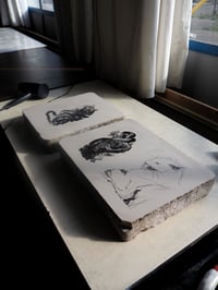 Image 4 of The Lounging Lion Stone Lithograph Print