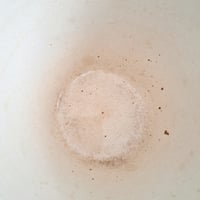 Image 9 of Gorgeous Set of Two English Pudding Bowls