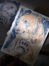 Polar Visitor A5 Stone Lithograph Print
