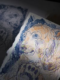 Image 4 of Polar Visitor A5 Stone Lithograph Print