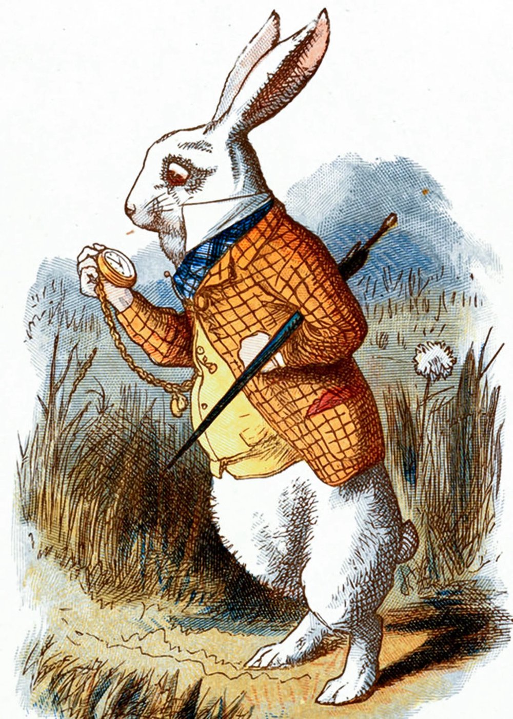 Image of ALICE