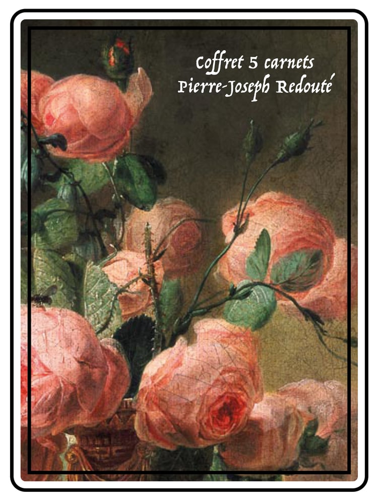 Image of REDOUTÉ