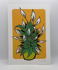Image 1 of Peace Lillys - Signed and Embossed Fine Art Print