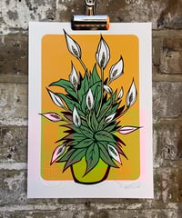 Image 3 of Peace Lillys - Signed and Embossed Fine Art Print