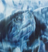 Image 2 of Turtle Portrait