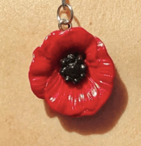 Le pendentif Coqueliwoo