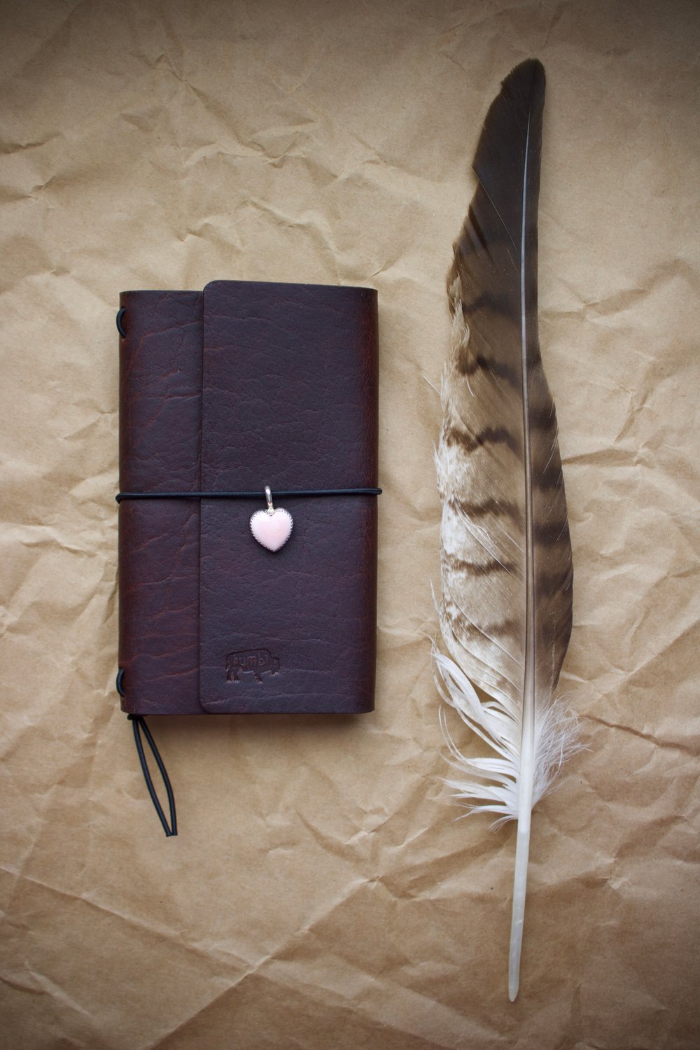 Image of SHASHTSOH (BROWN BEAR)