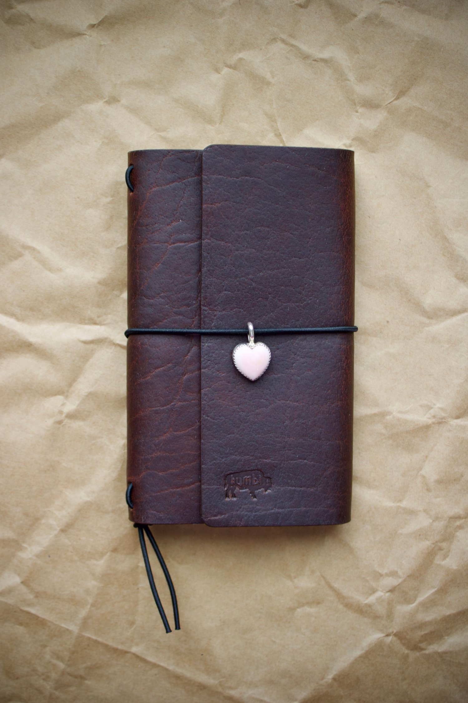 Image of SHASHTSOH (BROWN BEAR)