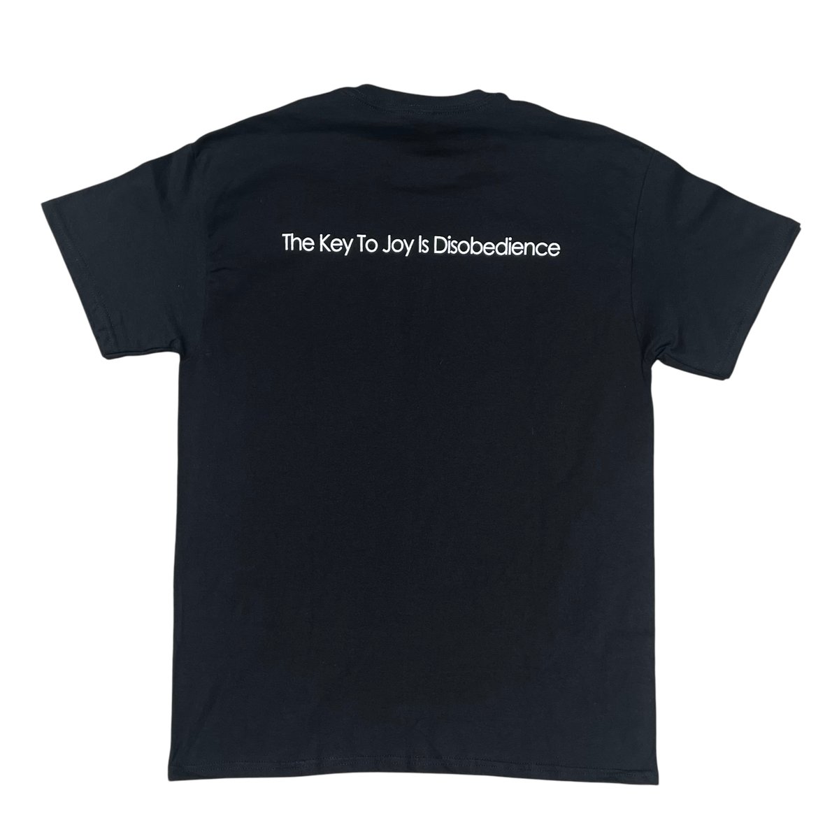 Image of DISOBEDIENCE