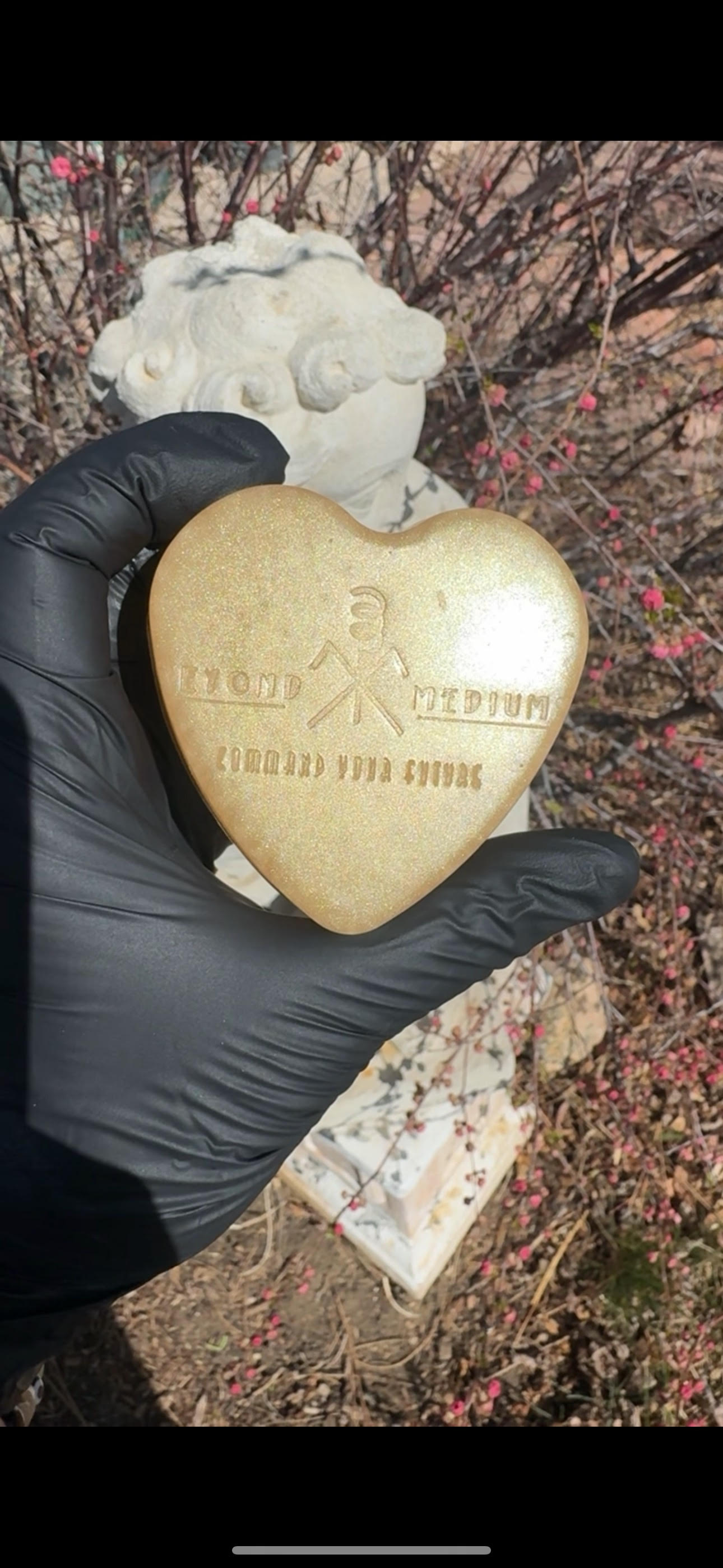 Image of Manifest Soap