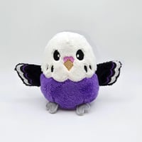 Image 1 of Violet the Worry Borb