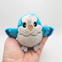 Image 5 of Ocean the Worry Borb